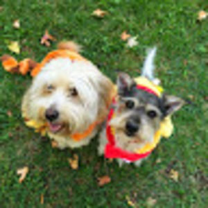 Meet your Posher, Gary